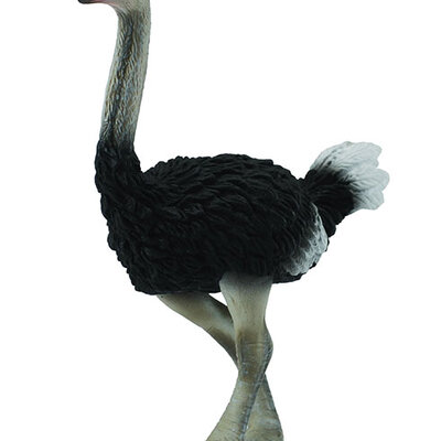 CollectA Figurice Divlje životinje - Noj CT88459