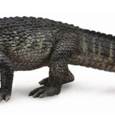 CollectA Figure Divlje životinje - Američki aligator CT88609