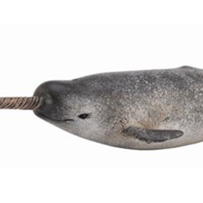 CollectA Figure Divlje životinje - Narval CT88615