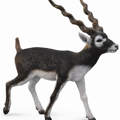 CollectA Figure Divlje životinje - Jelenska antilopa CT88638