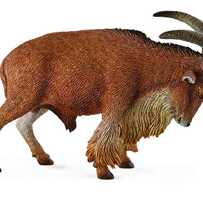 CollectA Figure Divlje životinje - Berberska ovca CT88683