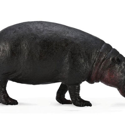 CollectA Figure Divlje životinje - Patuljasti nilski konj CT88686