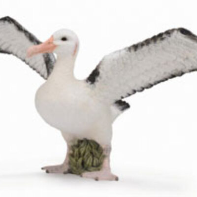 CollectA Figurice Divlje životinje - Snežni albatros CT88765