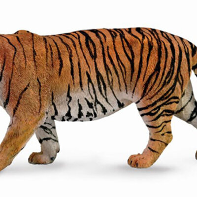 CollectA Figurice Divlje životinje - Sibirski tigar CT88789