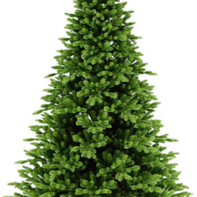 Jelka Pinyon 2D i 3D Iglice Visina 210 cm