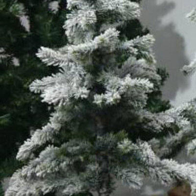 Deco Wood Jelka u Saksiji Visine 100 cm