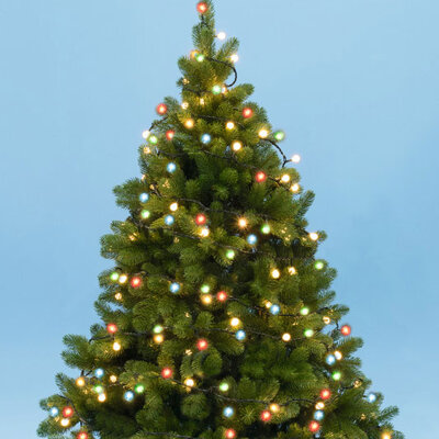 Novogodišnje višebojne lampice za jelku sa 50 LED dioda KII50B/M