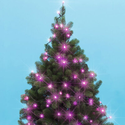 Novogodišnje lampice za jelku sa 50 roze LED dioda KII50/P