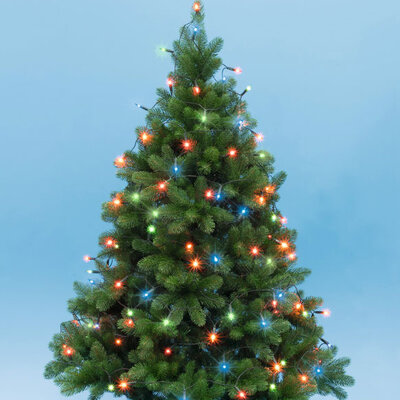 Novogodišnje lampice za jelku sa 50 višebojnih LED dioda KII50/M