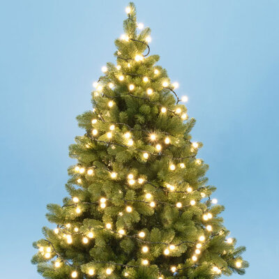 Novogodišnje lampice za jelku 100 toplo belih LED dioda KII100B/WW