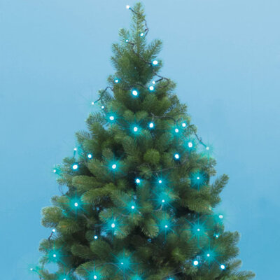 Novogodišnje lampice za jelku 100 tirkiznih LED dioda KII100/T