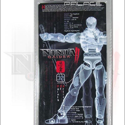 Ninja Gaiden 2 Ryu Hayabusa