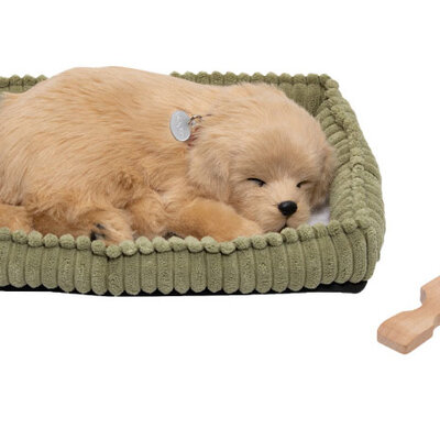 Plišani pas koji spava Sa pokretima disanja PP-Golden-Retriever