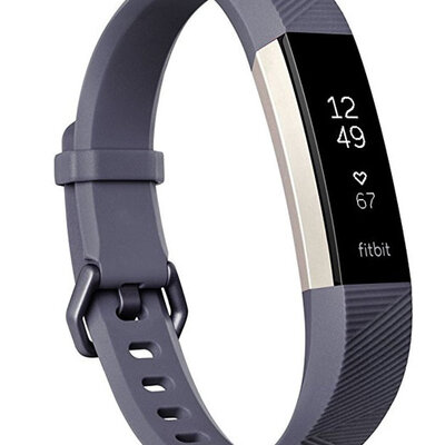 Pametna narukvica za praćenje fizičkih aktivnosti Fitbit Alta HR Blue Grey L