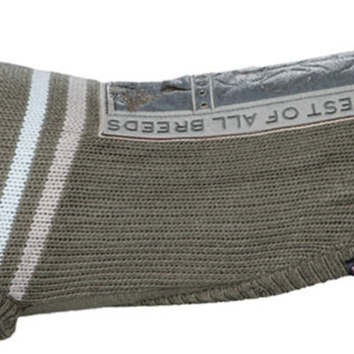 Pulover za pse Trixie Best Of All Breeds 45cm 67385