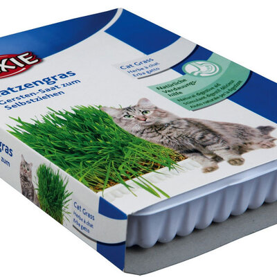 TRIXIE Trava za mačke sa posudom 100gr