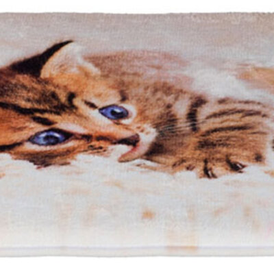 Jastuk za mačku Tilly Trixie 37127