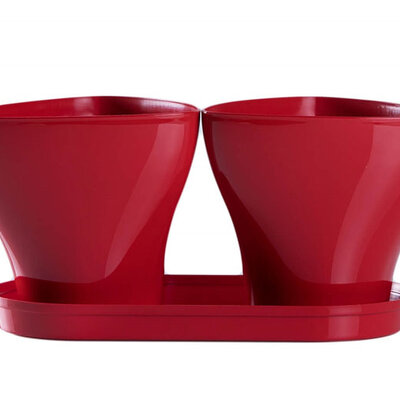 Saksije za cveće sa tacnom Jazz Mix and Play Crvena