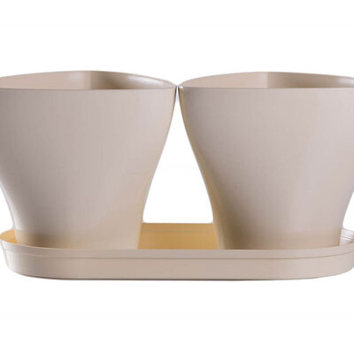 Saksije za cveće sa tacnom Jazz Mix and Play Krem