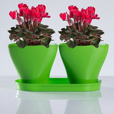 Saksije za cveće sa tacnom Jazz Mix and Play Zelena