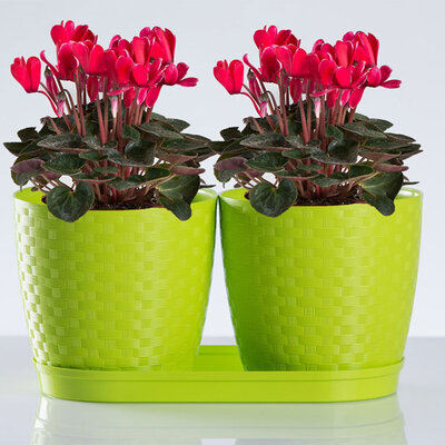 Saksije za cveće sa tacnom Inspira Mix and Play Svetlo zelena