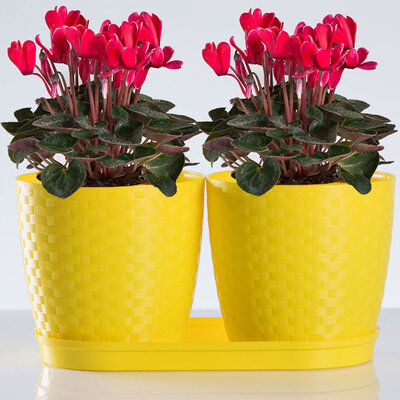 Saksije za cveće sa tacnom Inspira Mix and Play Žuta