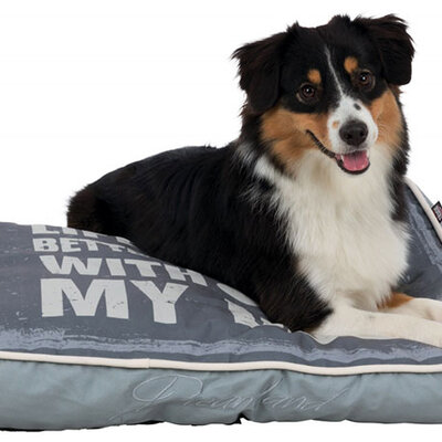 Trixie Jastuk za pse Buddy 90cm grey 36367