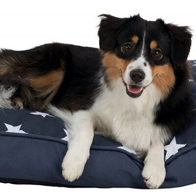 Trixie Jastuk za pse Stars 70cm dark blue 36376