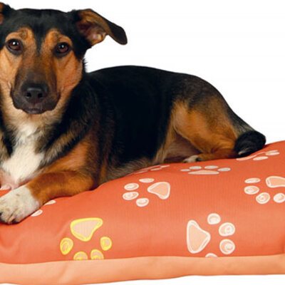 Jastuk za psa Jimmy salmon 65cm Trixie 37342