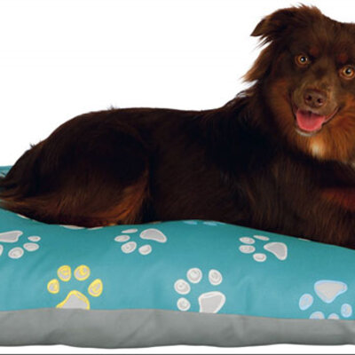 Jastuk za psa Jimmy turquoise 80cm Trixie 37346