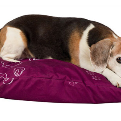 Jastuk za pse Jolie 80cm Trixie 37436