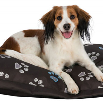 Trixie Jastuk za pse Jimmy brown 90cm 38381