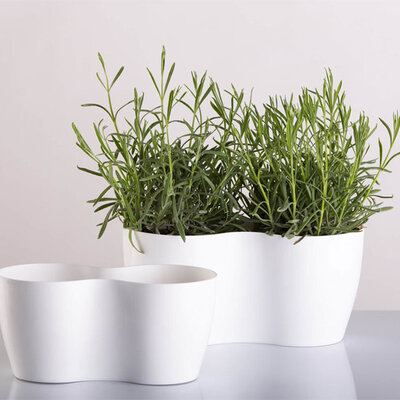 Dupla saksija za cveće Lady Bela 2x14cm