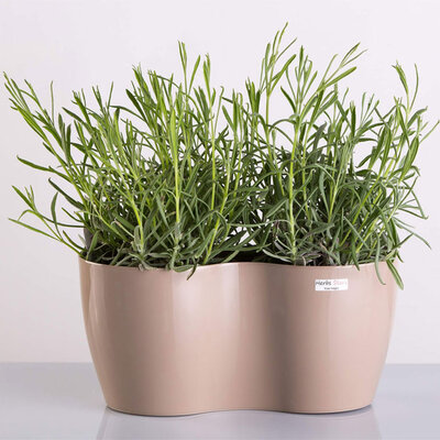 Dupla saksija za cveće Lady Krem 2x12cm