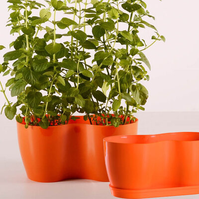 Dupla saksija za cveće Lady Narandžasta 2x12cm