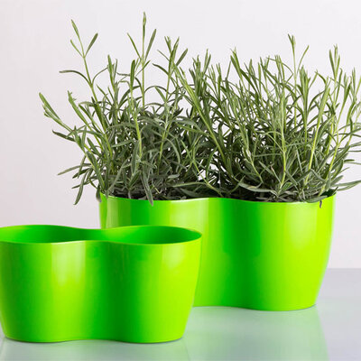 Dupla saksija za cveće Lady Svetlo zelena 2x14cm