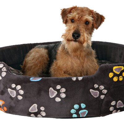 Trixie Ležaljka za pse Jimmy 95cm 37036