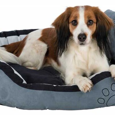 Trixie Krevet za pse Bonzo grey 100cm 37717