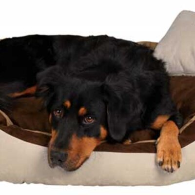 Trixie Krevet za pse Bonzo beige 100cm 37723