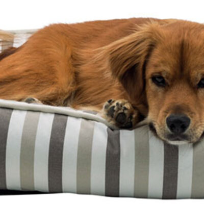 Trixie Krevet za pse Kimbo 80cm 38205