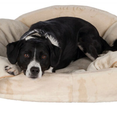 Trixie Krevet za pse King Of Dogs 70cm 38092