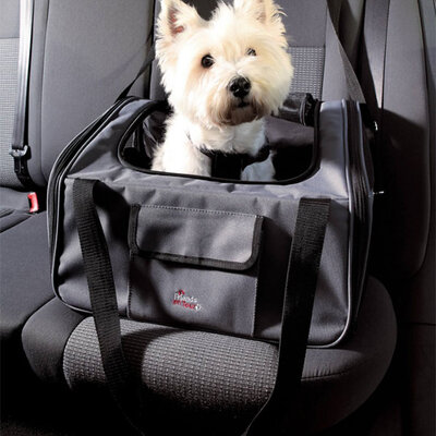 TRANSPORT U AUTOMOBILU