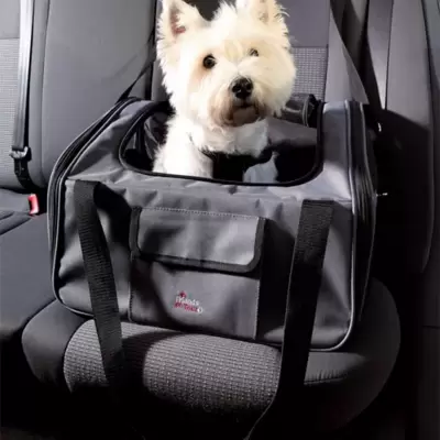 TRANSPORT U AUTOMOBILU