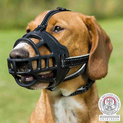 Silikonska korpa za njušku veličina S Flex Trixie 17611