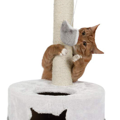 TRIXIE Grebalica za mačke sa stubom NURIA 71cm 