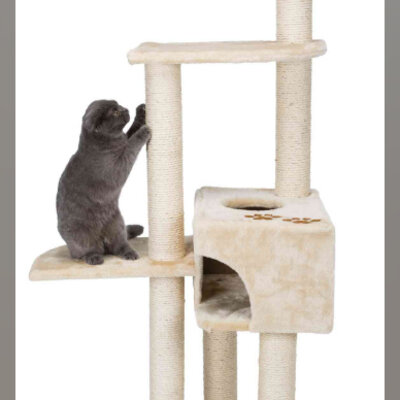 TRIXIE Grebalica za mačke ALICANTE 142cm bež