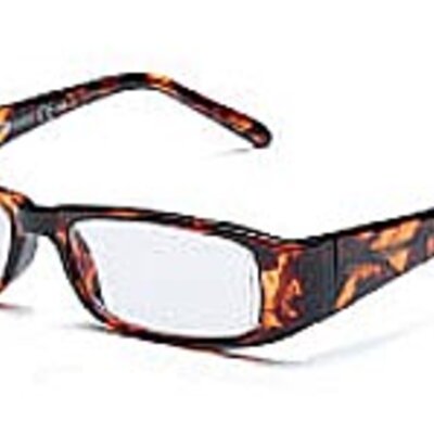 Prontoleggo Vip - Braon Naočare +3,50