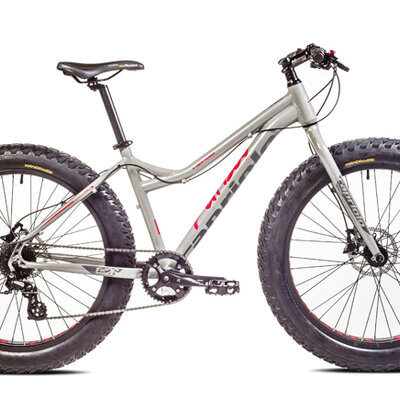 Bicikl Capriolo Fat Boy 26 918200-19