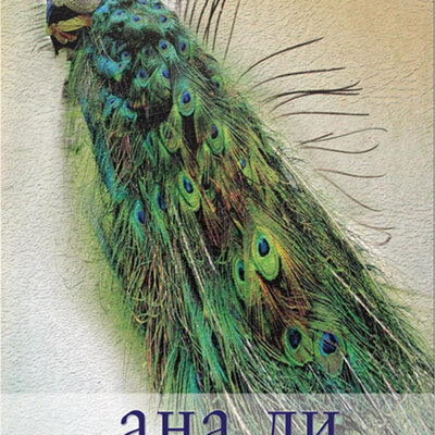 Ana Li, Dojna Galić Bar