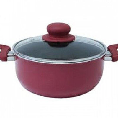 Tefal lonac Expression 24 cm sa poklopcem D29246